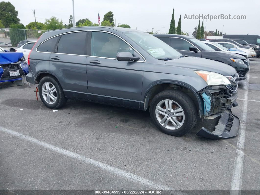 2010 Honda Cr-v Ex-l Gray vin: 5J6RE3H71AL016746