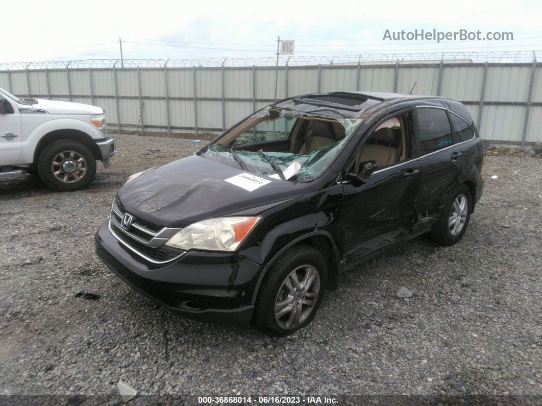 2010 Honda Cr-v Ex-l Black vin: 5J6RE3H71AL017525