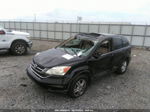 2010 Honda Cr-v Ex-l Черный vin: 5J6RE3H71AL017525