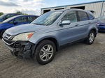 2010 Honda Cr-v Exl Blue vin: 5J6RE3H71AL038956