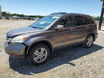 2010 Honda Cr-v Exl Brown vin: 5J6RE3H71AL039220