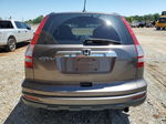 2010 Honda Cr-v Exl Brown vin: 5J6RE3H71AL039220