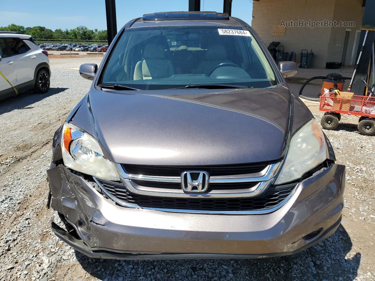 2010 Honda Cr-v Exl Brown vin: 5J6RE3H71AL039220