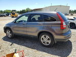 2010 Honda Cr-v Exl Brown vin: 5J6RE3H71AL039220