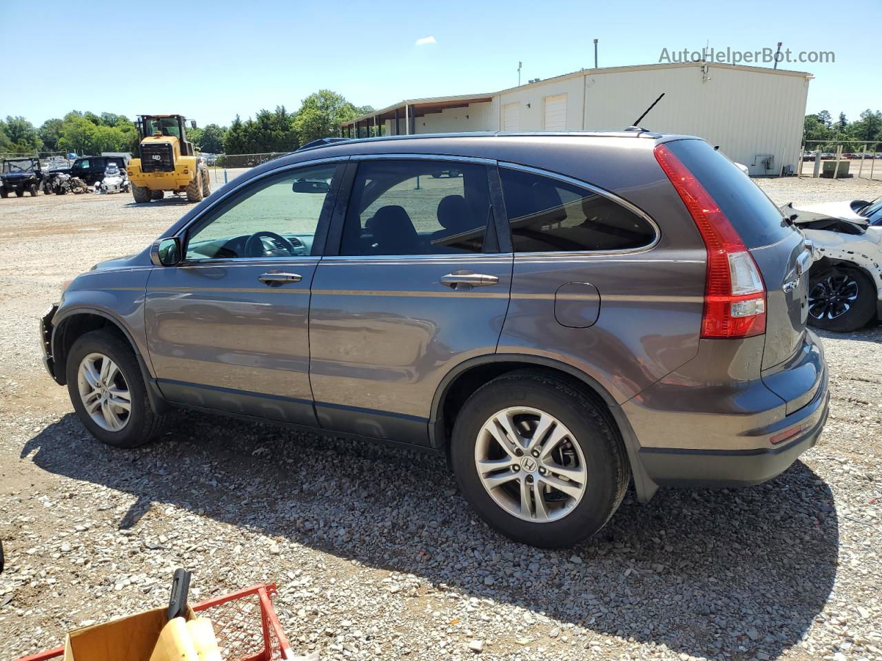 2010 Honda Cr-v Exl Brown vin: 5J6RE3H71AL039220