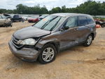 2010 Honda Cr-v Exl Brown vin: 5J6RE3H72AL002726