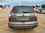 2010 Honda Cr-v Exl Brown vin: 5J6RE3H72AL002726