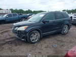 2010 Honda Cr-v Ex-l Black vin: 5J6RE3H72AL014827