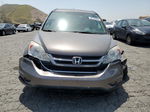 2010 Honda Cr-v Exl Tan vin: 5J6RE3H73AL012374