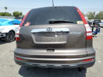 2010 Honda Cr-v Exl Tan vin: 5J6RE3H73AL012374