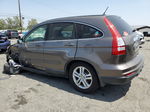 2010 Honda Cr-v Exl Tan vin: 5J6RE3H73AL012374