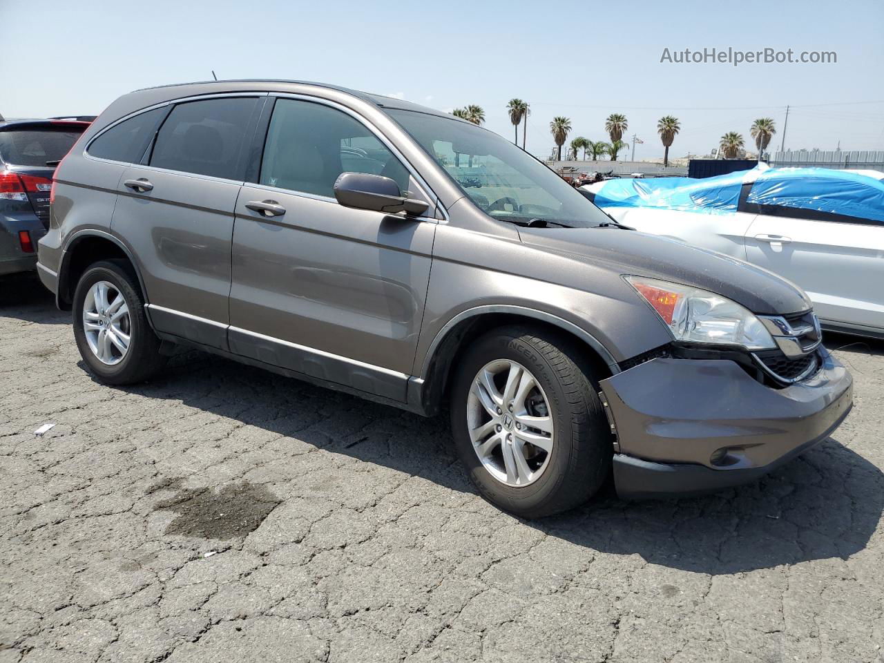 2010 Honda Cr-v Exl Tan vin: 5J6RE3H73AL012374