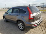 2010 Honda Cr-v Exl Brown vin: 5J6RE3H74AL028308