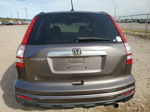 2010 Honda Cr-v Exl Коричневый vin: 5J6RE3H74AL028308