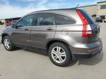 2010 Honda Cr-v Exl Коричневый vin: 5J6RE3H75AL016295