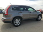 2010 Honda Cr-v Exl Коричневый vin: 5J6RE3H75AL016295