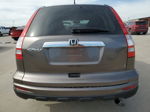 2010 Honda Cr-v Exl Коричневый vin: 5J6RE3H75AL016295