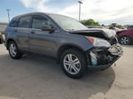 2010 Honda Cr-v Exl Коричневый vin: 5J6RE3H75AL016295