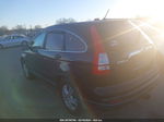 2010 Honda Cr-v Ex-l Черный vin: 5J6RE3H75AL017530