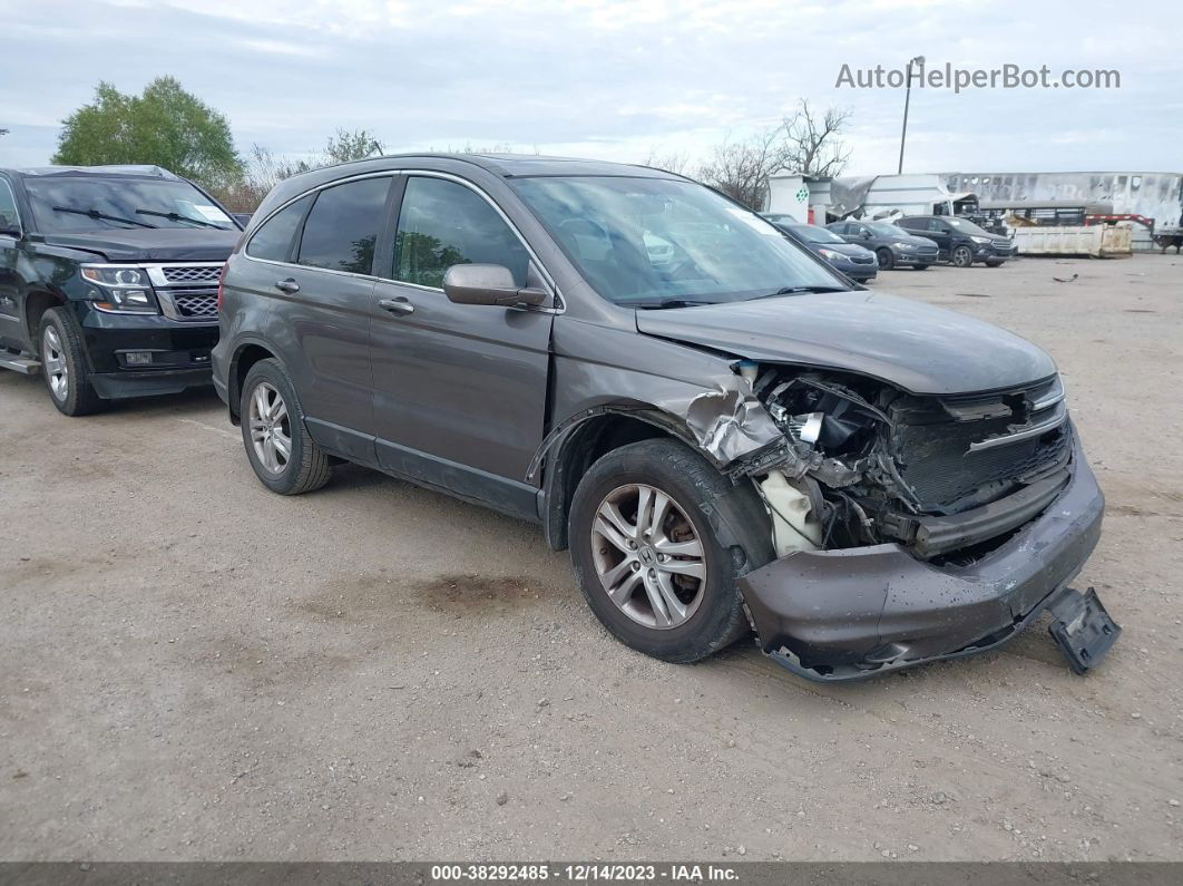 2010 Honda Cr-v Ex-l Black vin: 5J6RE3H75AL024560