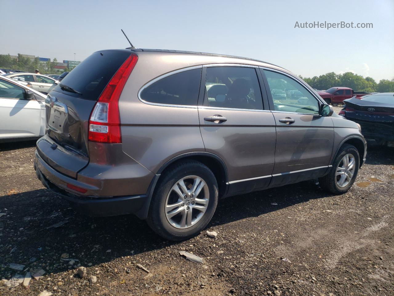 2010 Honda Cr-v Exl Серый vin: 5J6RE3H75AL042556