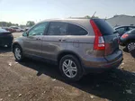 2010 Honda Cr-v Exl Gray vin: 5J6RE3H75AL042556