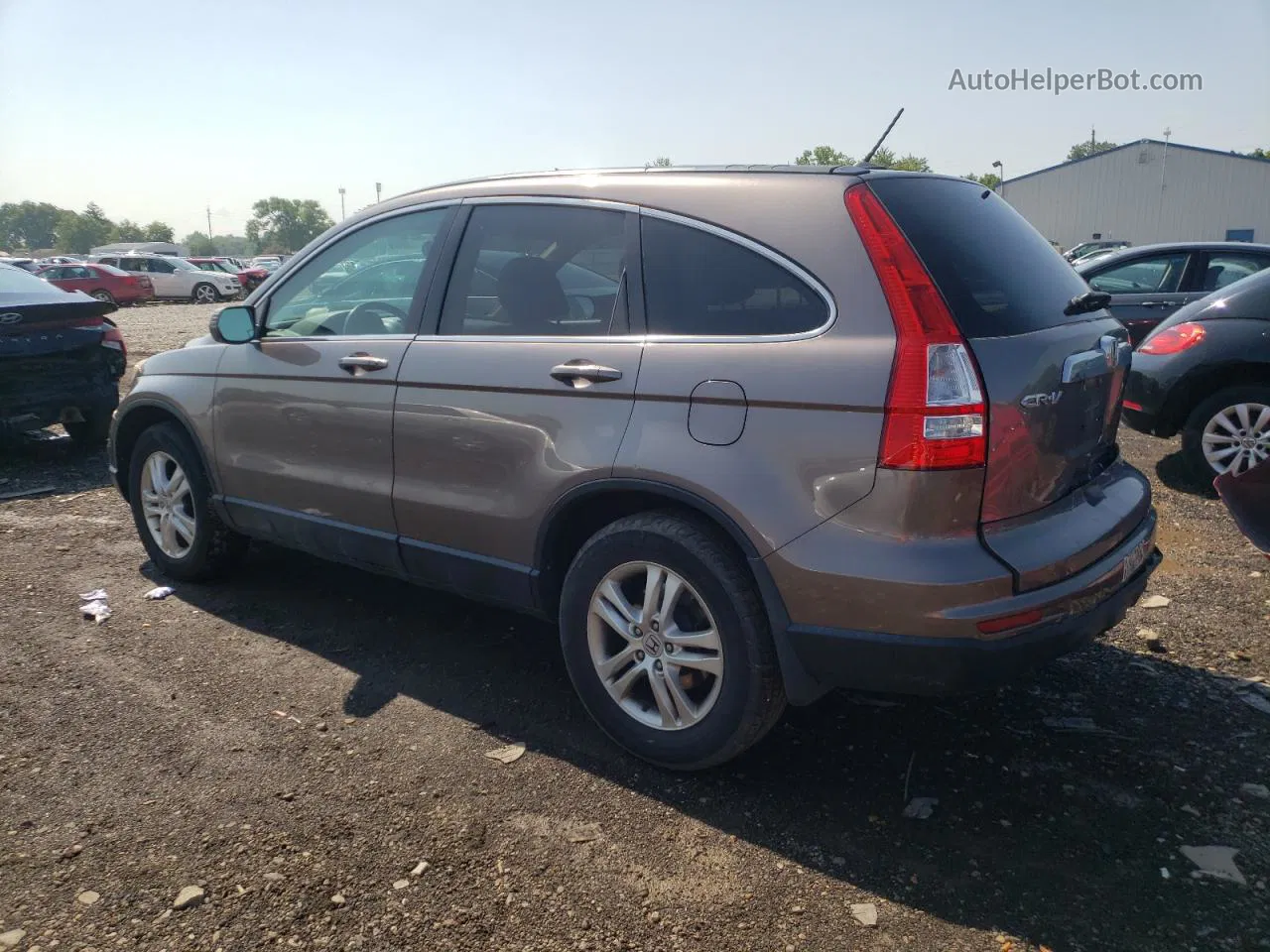 2010 Honda Cr-v Exl Серый vin: 5J6RE3H75AL042556