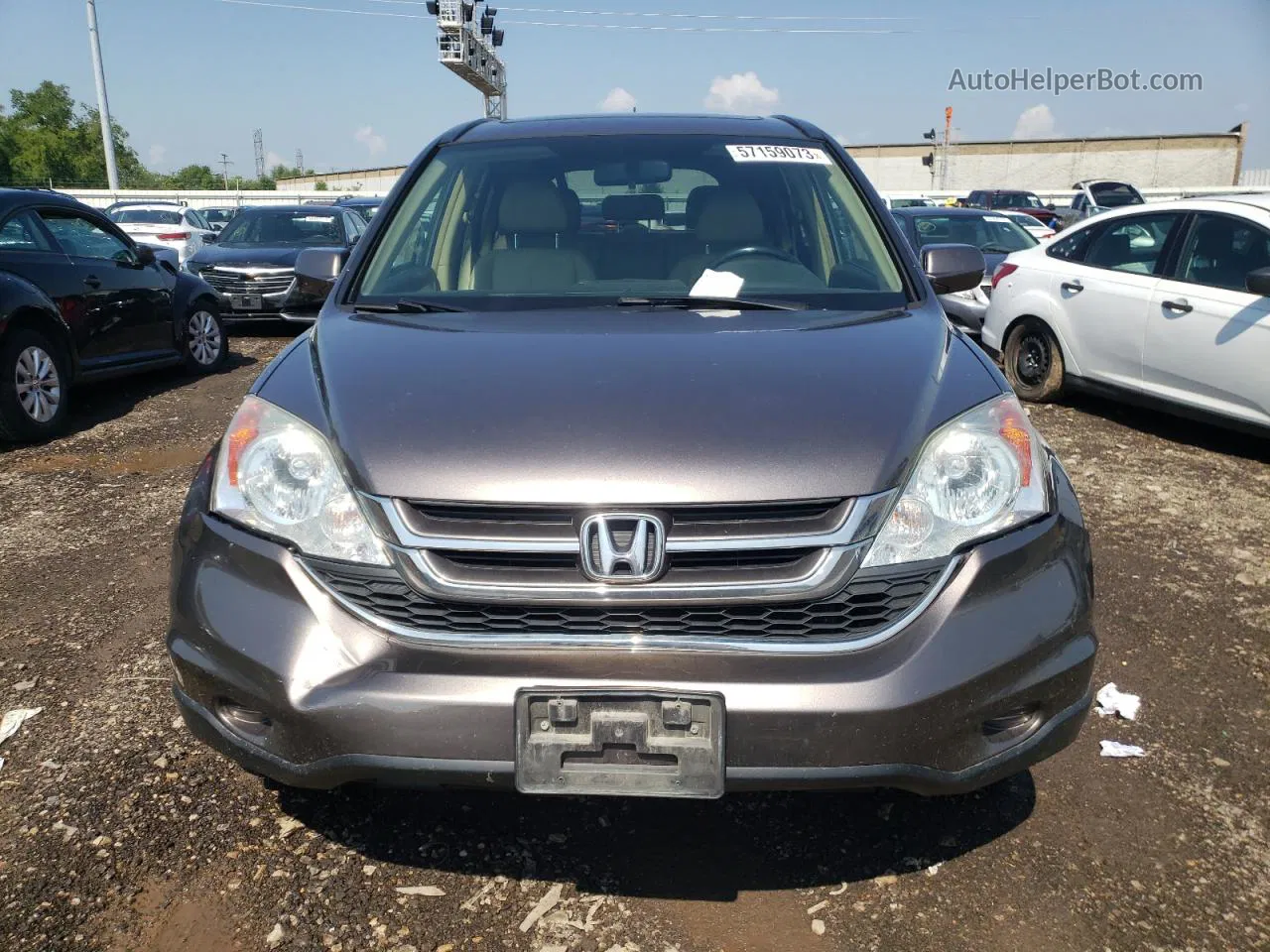 2010 Honda Cr-v Exl Gray vin: 5J6RE3H75AL042556