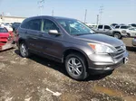 2010 Honda Cr-v Exl Gray vin: 5J6RE3H75AL042556