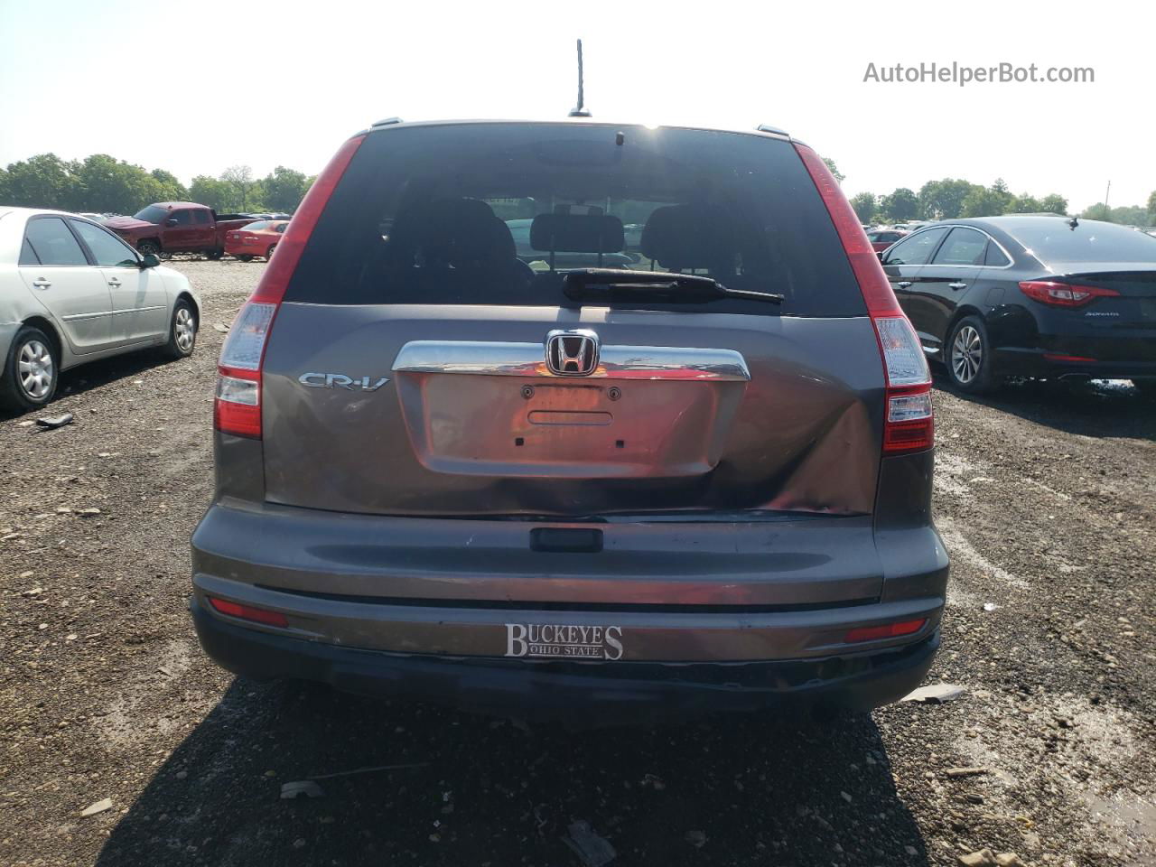 2010 Honda Cr-v Exl Серый vin: 5J6RE3H75AL042556