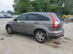 2010 Honda Cr-v Exl Gray vin: 5J6RE3H76AL011347