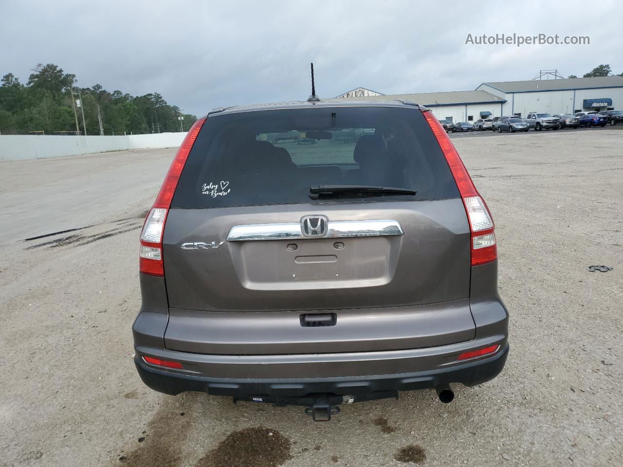 2010 Honda Cr-v Exl Gray vin: 5J6RE3H76AL011347