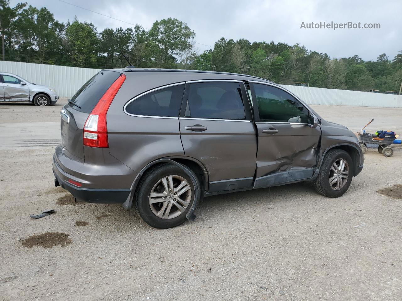 2010 Honda Cr-v Exl Gray vin: 5J6RE3H76AL011347