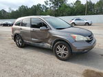 2010 Honda Cr-v Exl Gray vin: 5J6RE3H76AL011347