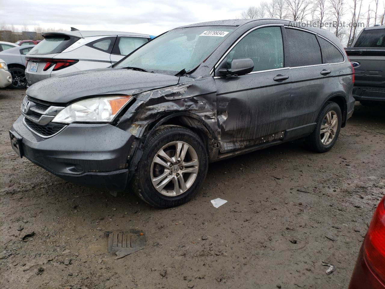 2010 Honda Cr-v Exl Gray vin: 5J6RE3H76AL023305