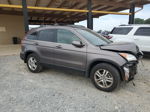 2010 Honda Cr-v Exl Brown vin: 5J6RE3H77AL036290