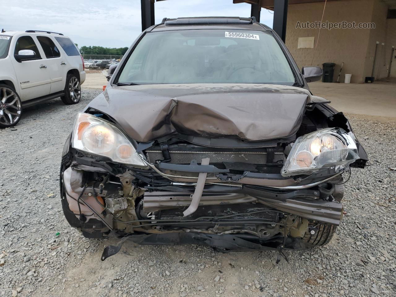 2010 Honda Cr-v Exl Brown vin: 5J6RE3H77AL036290