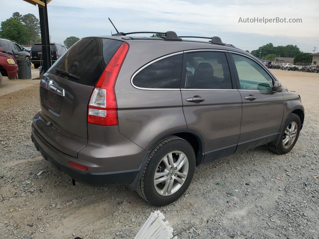 2010 Honda Cr-v Exl Brown vin: 5J6RE3H77AL036290