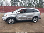 2010 Honda Cr-v Ex-l Silver vin: 5J6RE3H78AL013066