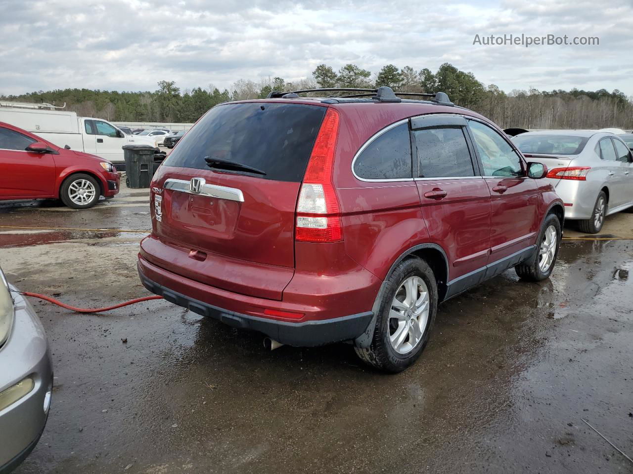 2010 Honda Cr-v Exl Burgundy vin: 5J6RE3H79AL021595