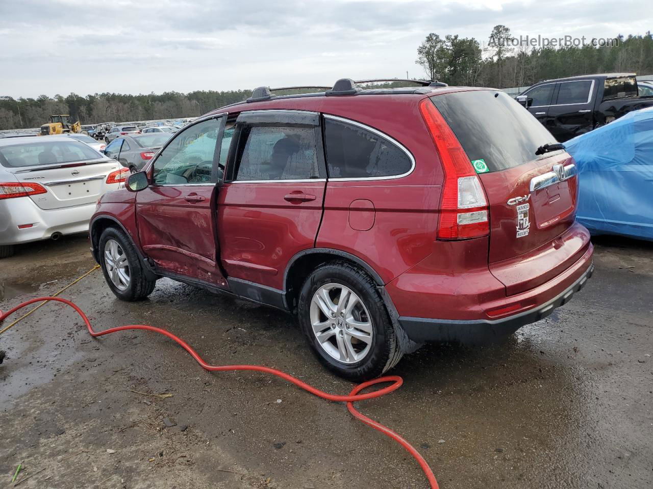 2010 Honda Cr-v Exl Burgundy vin: 5J6RE3H79AL021595