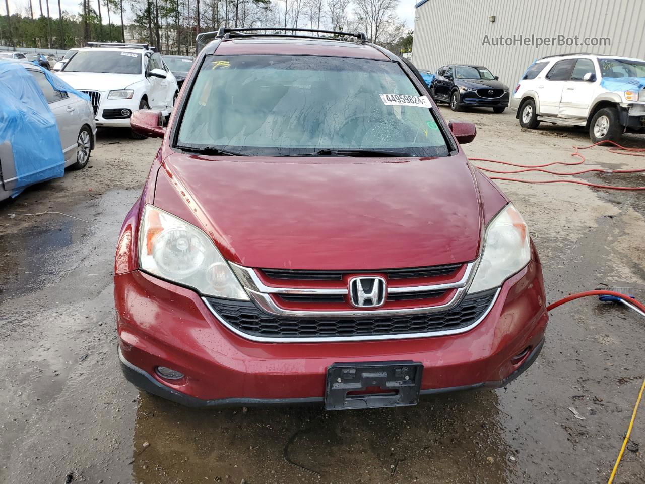 2010 Honda Cr-v Exl Burgundy vin: 5J6RE3H79AL021595