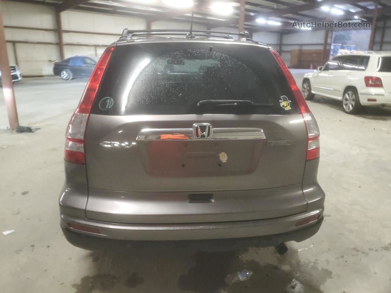 2010 Honda Cr-v Exl Brown vin: 5J6RE3H79AL031463