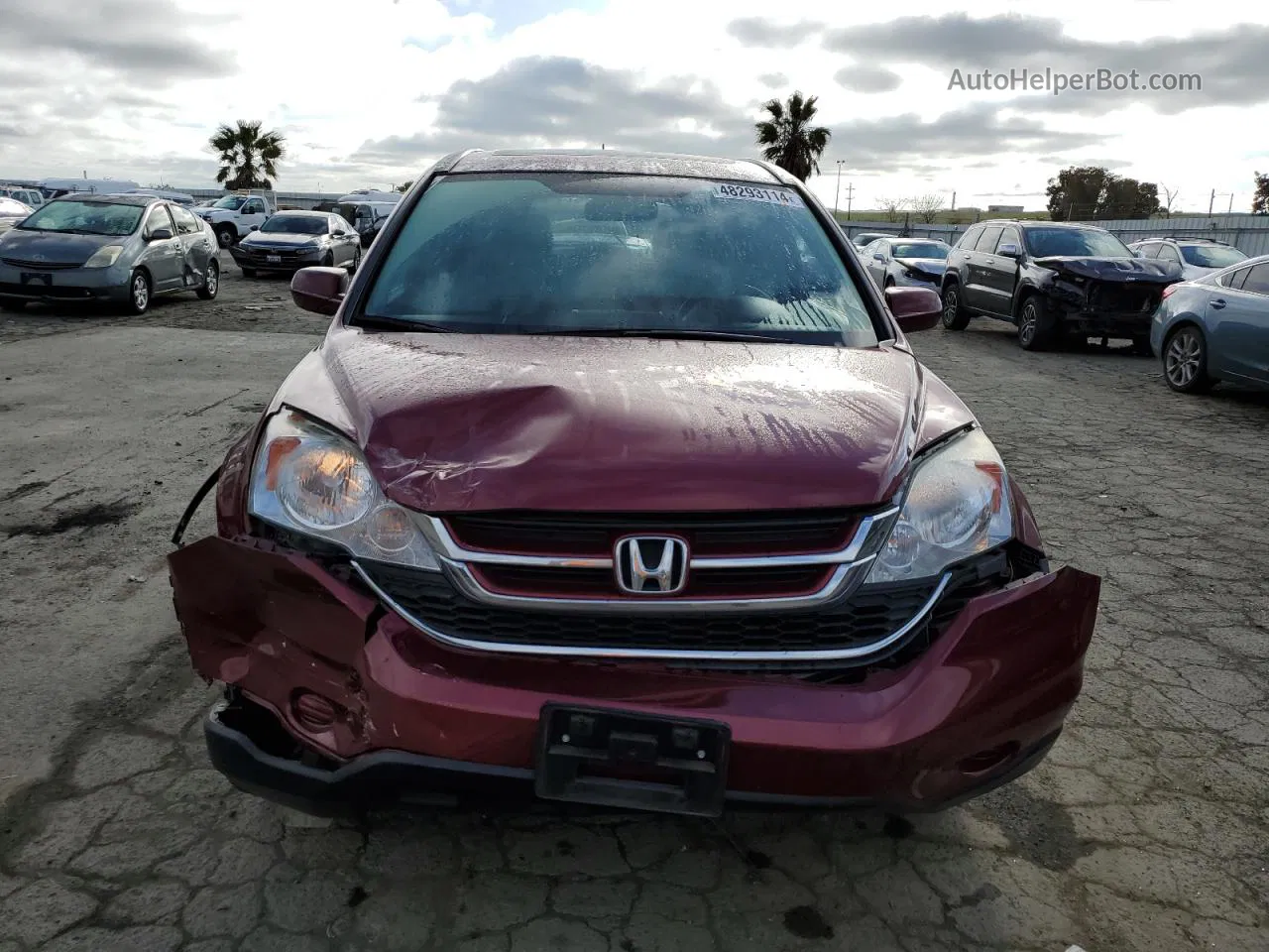 2010 Honda Cr-v Exl Red vin: 5J6RE3H7XAL039409