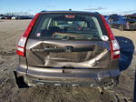 2009 Honda Cr-v Lx Gray vin: 5J6RE48329L044411