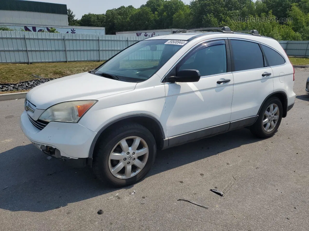 2009 Honda Cr-v Ex White vin: 5J6RE48509L042447