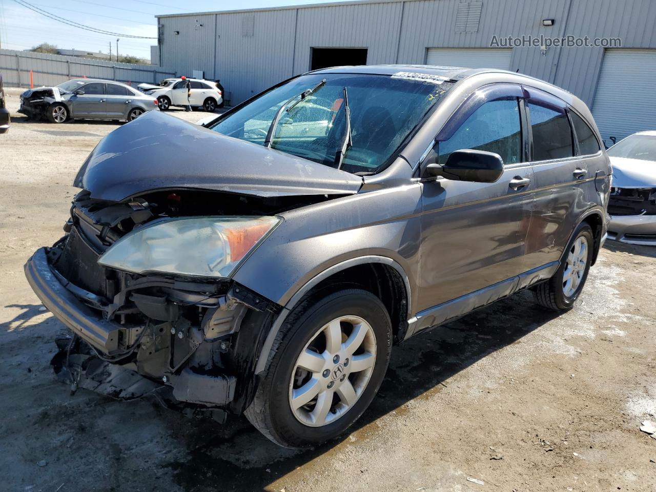 2009 Honda Cr-v Ex Gray vin: 5J6RE48519L046118