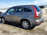 2009 Honda Cr-v Ex Gray vin: 5J6RE48519L046118