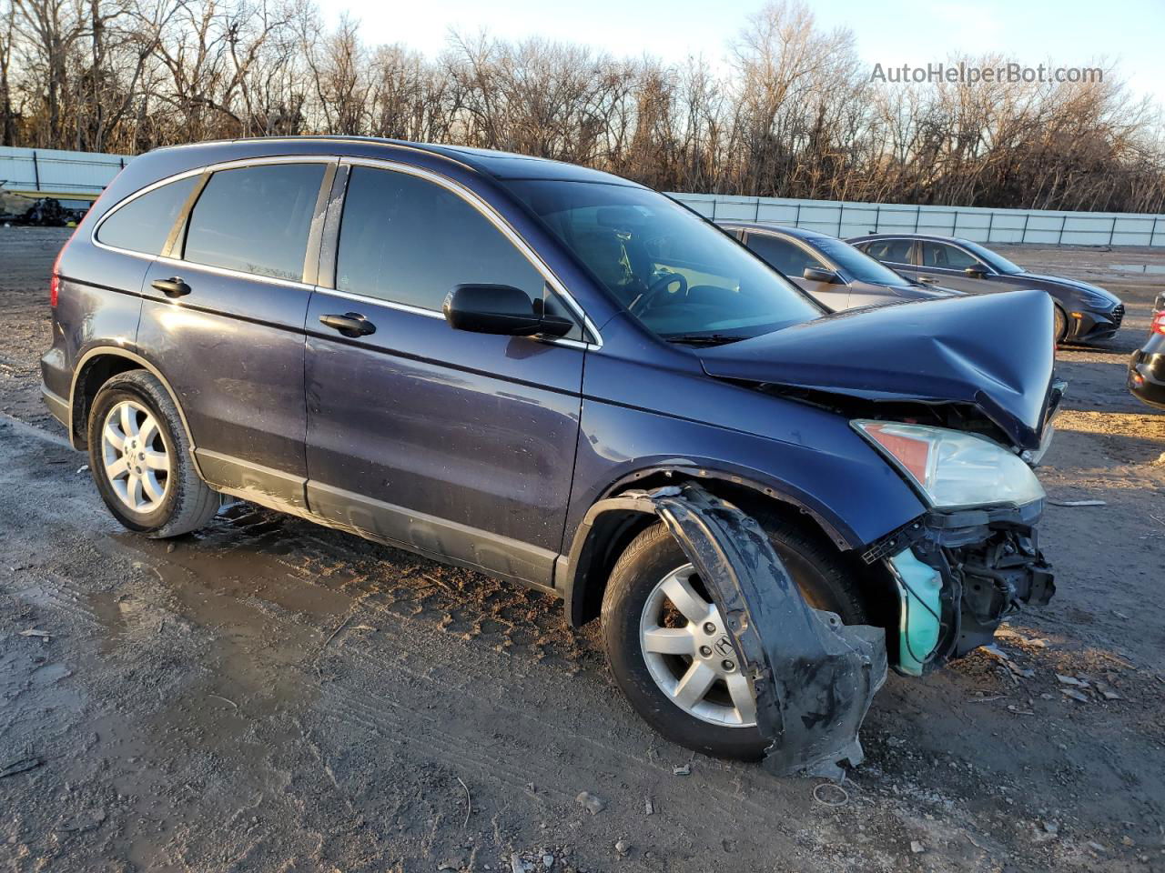 2009 Honda Cr-v Ex Blue vin: 5J6RE48519L069849