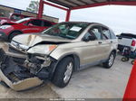 2009 Honda Cr-v Ex Gold vin: 5J6RE48529L005268